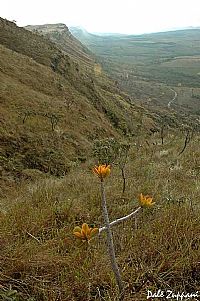 Serra de Carrancas